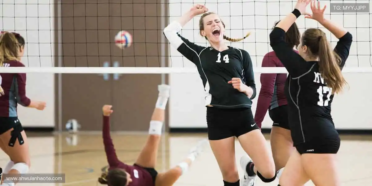 🎯 你的专属运动装备库,即刻解锁!